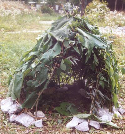 g4_tipi