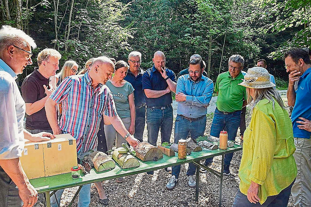 Waldjugendspiele 03