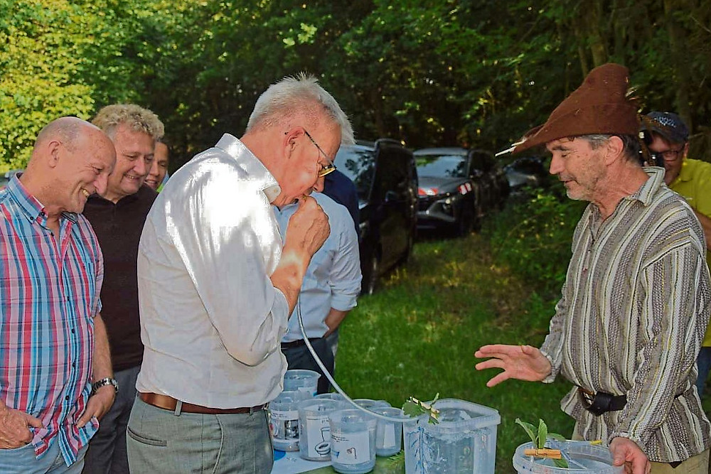 Waldjugendspiele 04